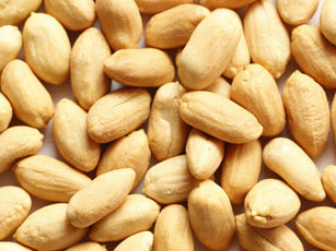 Roasted and  blanched  peanut kernels