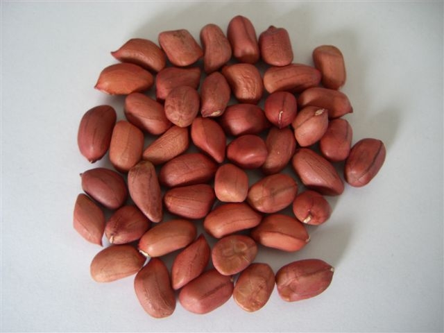 Red skin peanut kernels