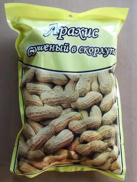 Roasted peanut in shell