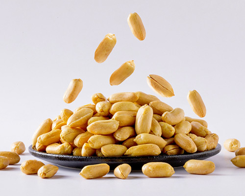 fried and salted peanut kernels