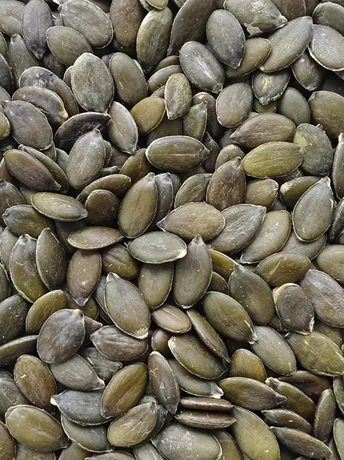 sunflower seed